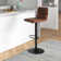 Rawlinson Adjustable Height Low Back Bar Stool with Leather Seat and Metal Base
