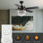 Gloristeen 52'' Ceiling Fan with Light Kit