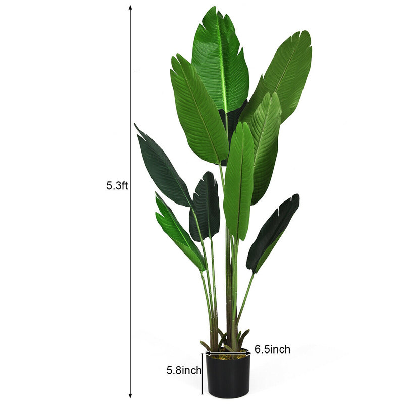 Arbre à feuilles de bananier 63,6 po en pot