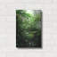 «Misty Rainforest Creek» par Nicklas Gustafsson-522000853