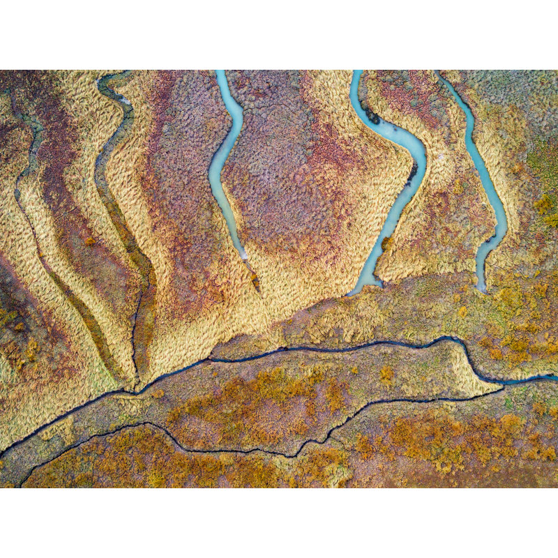 Abstract Aerial Landscape III Print by Frank Peters, 17.25" H x 21.25" W x 0.88" D, Black Framed Paper, White