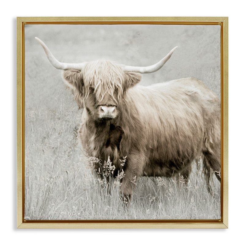 "Subtle Longhorn Bovins", art mural sur toile par Danita Delimont, Cadre flottant métallique doré, H 18 po x l 18 po