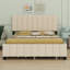Upholstered Platform Bed With 2 Drawers And Trundle-115709512