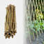 Piquet de jardin en treillis naturel-20302243