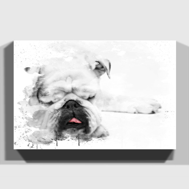 White British Bulldog Dog - Wall Art, 40cm H x 60cm W, Wrapped Canvas