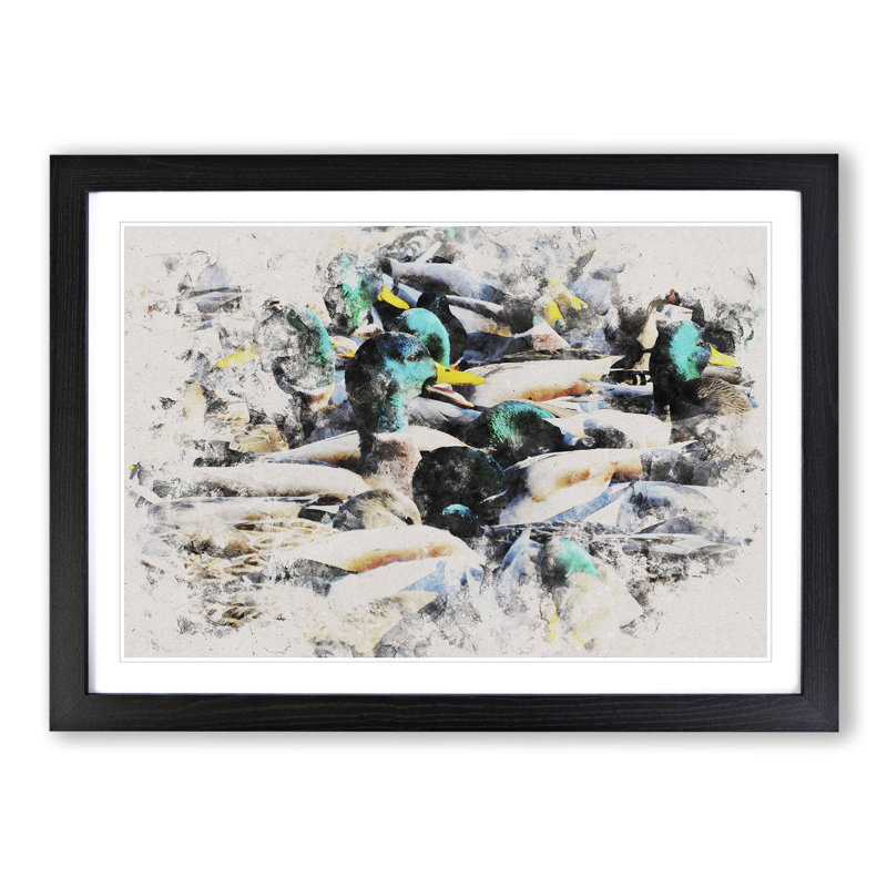 Mallard Ducks - Picture Frame Graphic Art, Black Framed, 27cm H x 36cm W x 2cm D