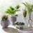 Hans Handmade Pot Planter