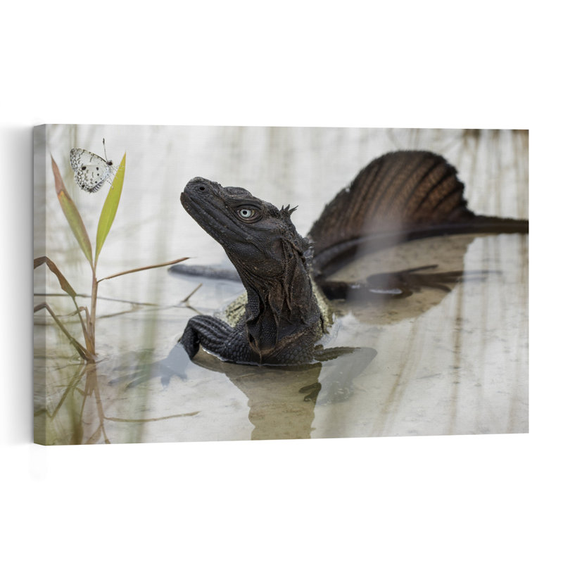 Water Dragon And Butterfly Peaceful Serene Contemporary Butterfly Lizard Nature Plant Wall Art Print by Hendy Mp - Print