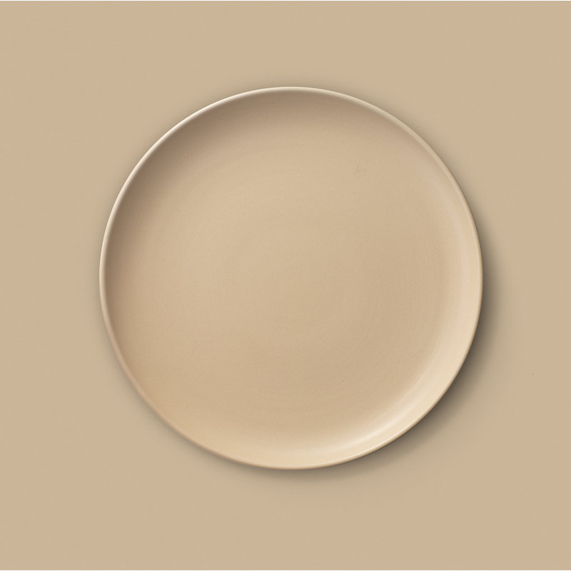 Matte Beige Ceramic Dinner Plates Set of 6