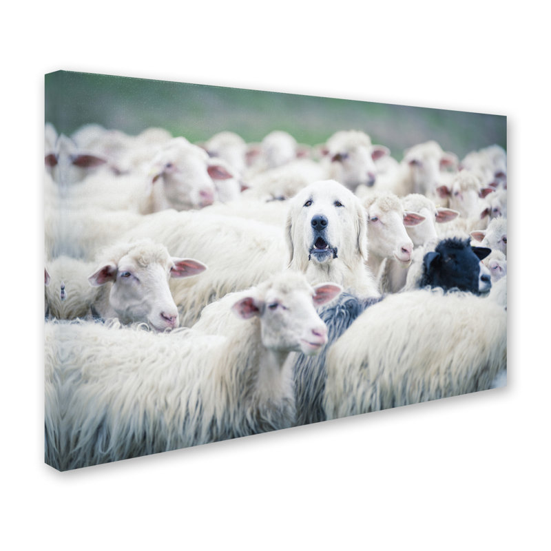 Art mural sur toile tendue - Adrian Popan «In Disguise», art mural pour salon, chambre à coucher ou bureau - 30 x 47