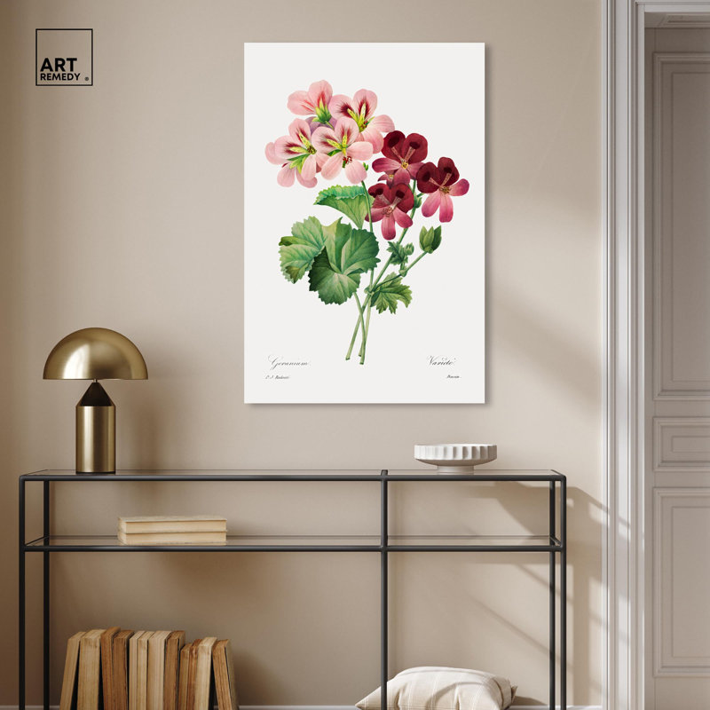 Art Remedy, impressions sur toile, géranium, 1827, H 36 po x l 24 po, Toile tendue