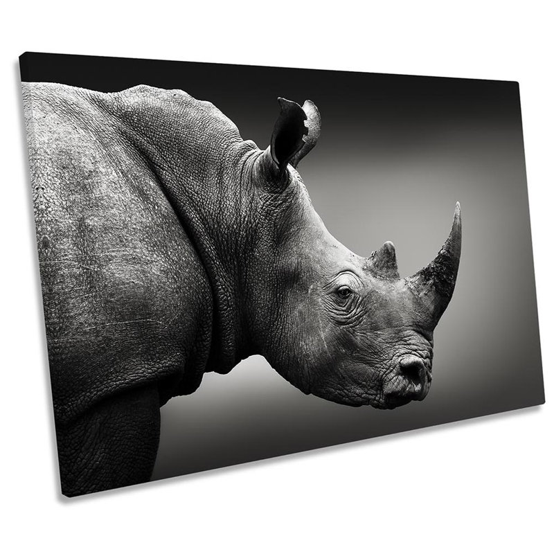 Rhino Wildlife - Wrapped Canvas Print, 81.3cm H x 121.9cm W x 4cm D