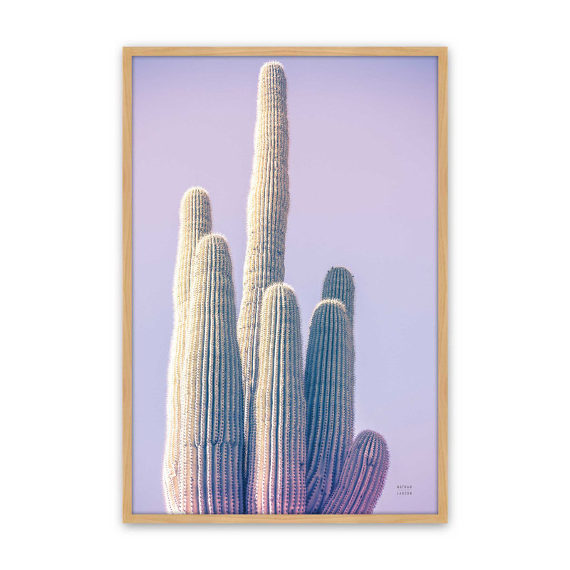 «Saguaro Purple Pastel» par Nathan Larson, reproduction d'art, Brun clair, H 48 po x l 32 po