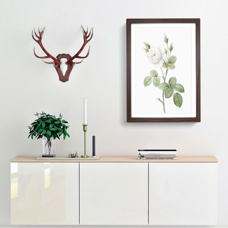 White Moss Rose by Pierre-Joseph Redoute - Picture Frame Art Prints, 48cm H x 36cm W x 2cm D, Walnut Framed