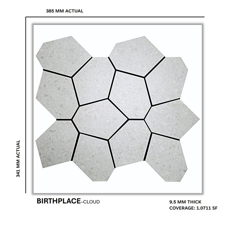 Birthplace 3" W x 4" L Porcelain Terrazzo Look Tile Mosaic Sheet, Cloud