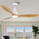 Jaustin 52'' Ceiling Fan with LED Lights