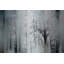 «Gearroid Wild Trees» par Parvez Taj - reproduction de photo sans cadre sur métal-363810087