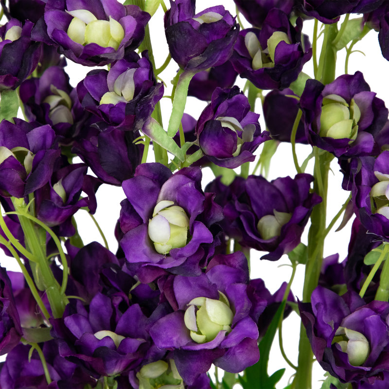 Tiges Delphinium, Mauve