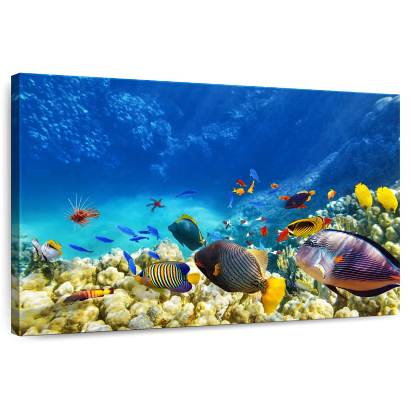 Brampt Marine Life, 34" H x 51" W