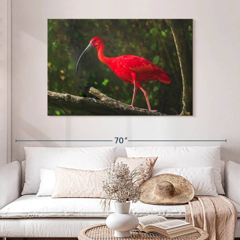 Brampt Red Ibis Bird, 32" H x 48" W