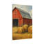 Aaroon Single Picture Frame Print on Canvas-1255432382