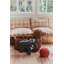 Wouf Wouf! Novelty Pillow Cover & Insert