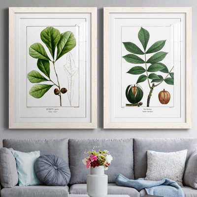 " White Oak " 2 - Pieces