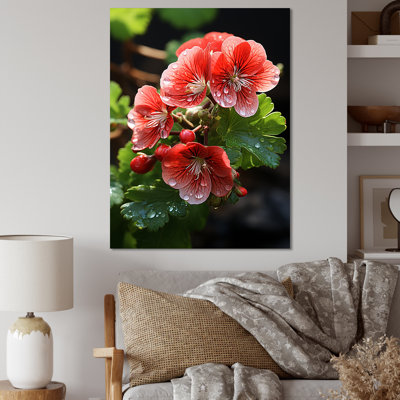Geraniums roses sous le soleil - géraniums, art mural