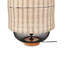 Amyrah Iron Novelty Lamp