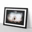 Dandelion Paint Splash - Framed Print-56915763-56915764