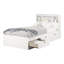 Lit matelot simple avec tiroirs Spark-1655256162