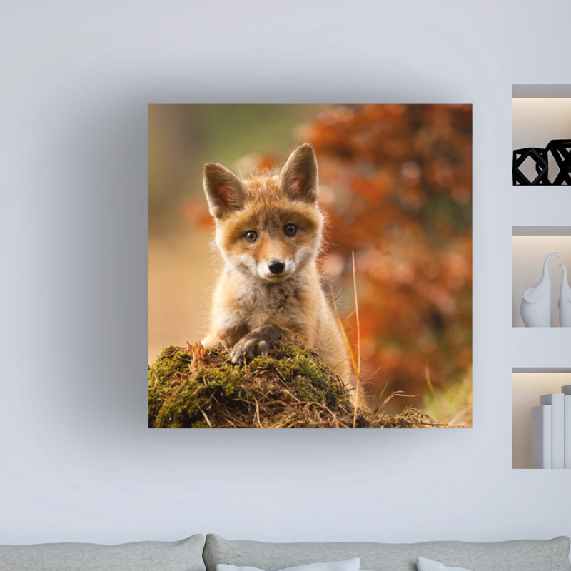 Fox par Robert Adamec - reproduction de photo sur toile tendue, H 24 po x l 24 po x P 2 po