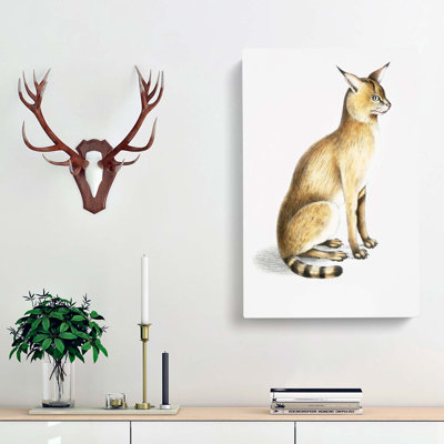Allied Cat - Wrapped Canvas Painting