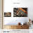Barber Shop Essentials-1203352102