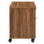 Render Wood File Cabinet In Walnut