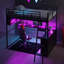 Lit mezzanine double en métal avec éclairage à DEL, bureau intégré et quatre tablettes de rangement pour une utilisation et un confort accrus