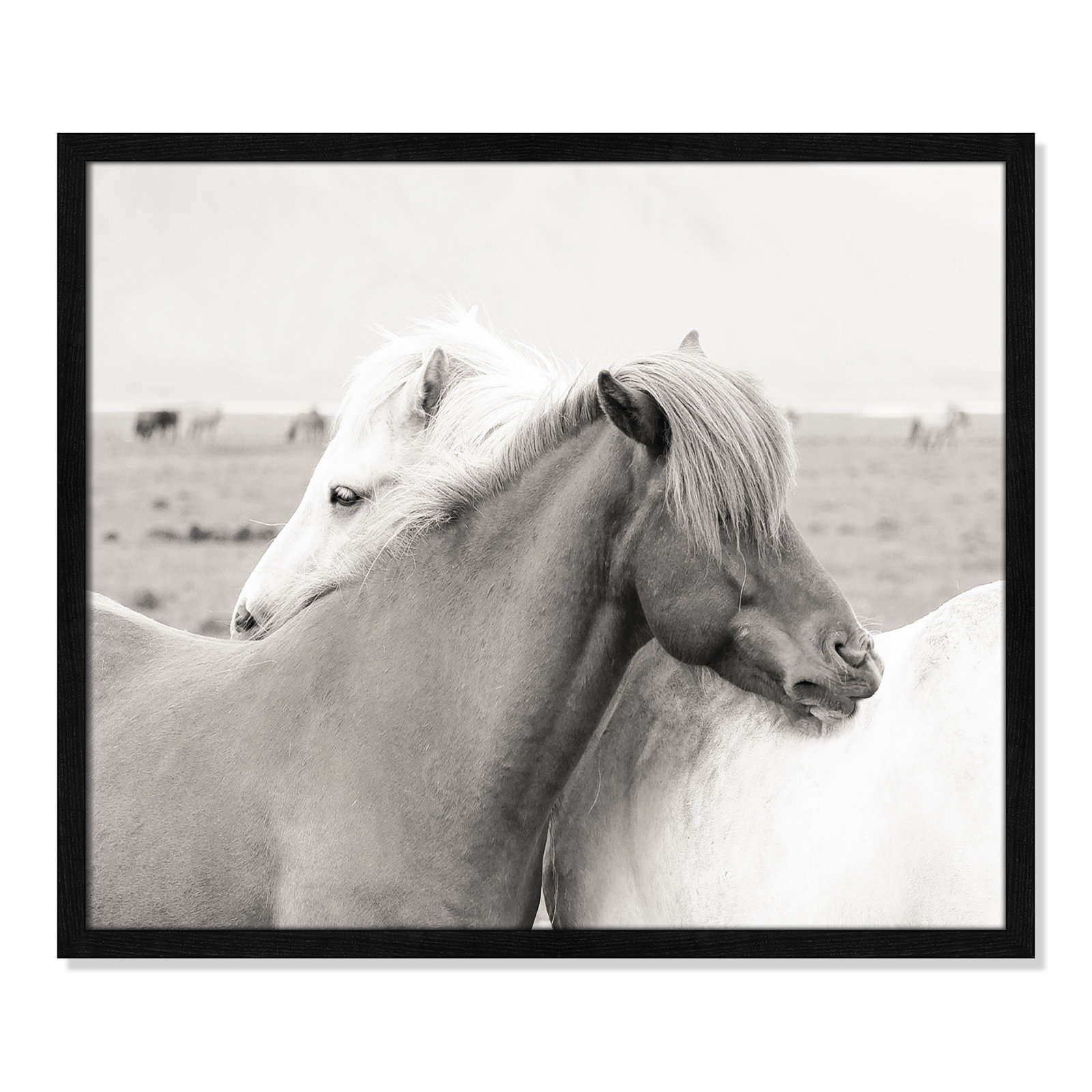 Melanie "Icelandic Meadow Horses" Print, 21.5" H x 25.5" W x 0.75" D, Black Wood Grain Framed