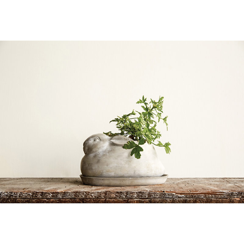 Cement Rabbit Planter with Saucer Set