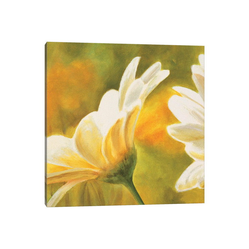 Marguerites Dans Le Soleil 2 by Pierre Viollet - Wrapped Canvas Painting, 66.04 cm H x 66.04 cm W x 3.175 cm D