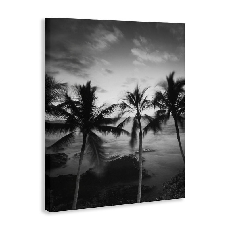 Photographie de palmier, toile par Carol Robinson, H 20 po x l 16 po