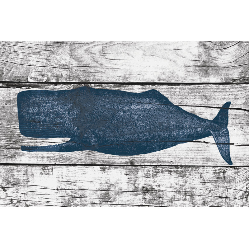 Distressed Whale White 3 - Wrapped Canvas Print, 30cm H x 46cm W x 3.8cm D