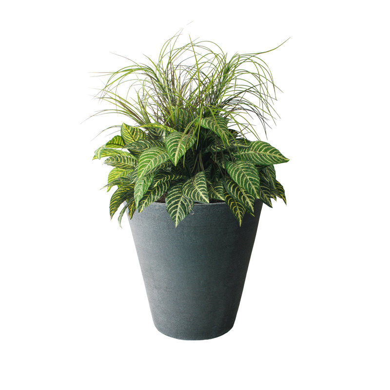 Barbara Pot Planter, 16.5" H x 16" W x 16" D