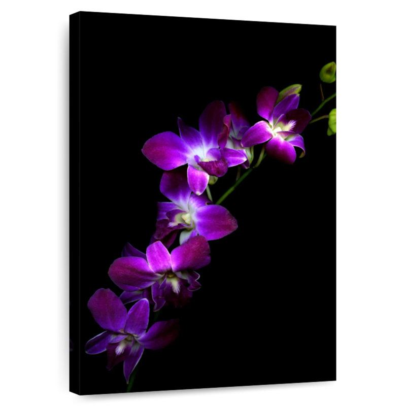 Orchidées Harnek mauves Dendrobium, H 36 po x l 24 po