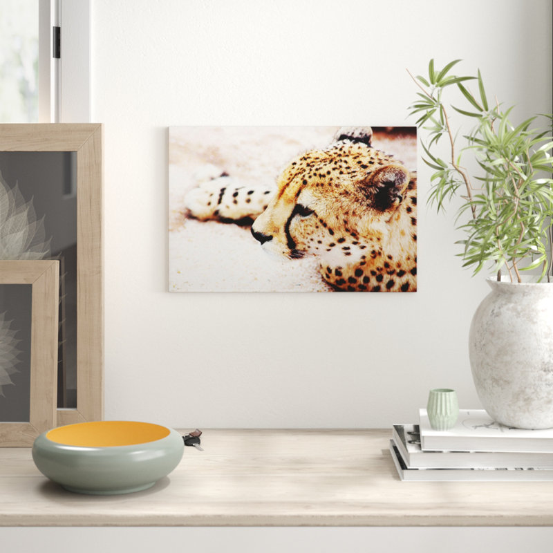 Cheetah Photographic - Wrapped Canvas, 40cm H x 60cm W