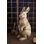  Resin Garden Rabbit 23"H – Shabby Chic Outdoor Bunny Statue