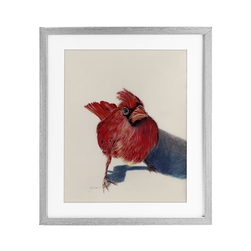 Oiseau cardinal debout encadré sous verre, conception par Cady, Cadre de ferme gris, H 16 po x l 13 po