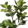 79.1'' Faux Fiddle Leaf Fig Tree in Planter