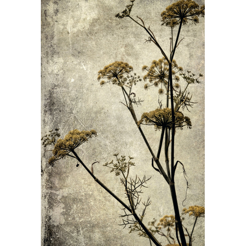 Big Sur Yarrow I by Honey Malek - Wrapped Canvas Painting, 46cm H x 30cm W