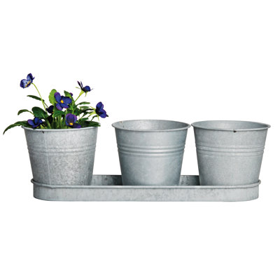 3 Pots on A Tray (Zinc)