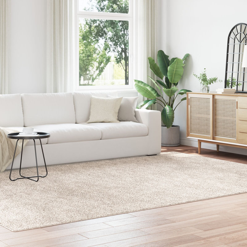 240cm X 340cm Area Rug